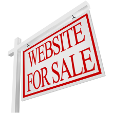 website for sale_smaller